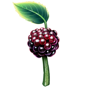 Blackberry Snack PNG 05232024 PNG