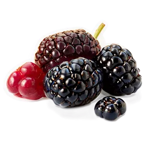 Blackberry Snack PNG Fbq21 PNG