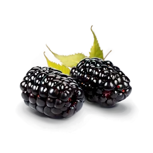 Blackberry Snack PNG Pug PNG