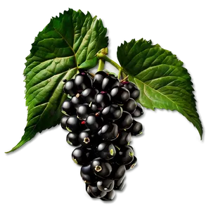 Blackberry With Leaves PNG 86 PNG