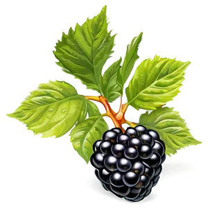 Blackberry With Leaves PNG Kcp59 PNG