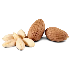 Blanched Almond PNG Cap