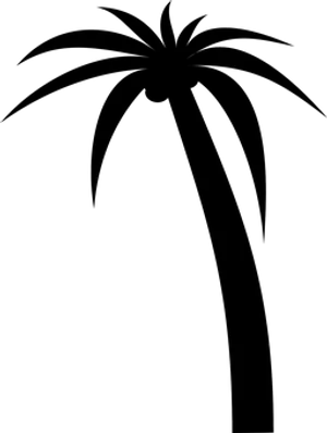 Blank Black Image