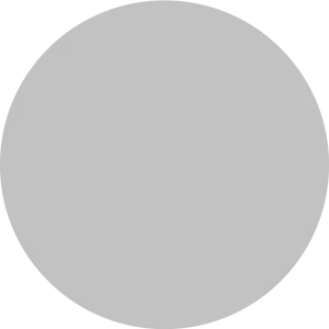 Blank Canvas Grey Circle PNG image