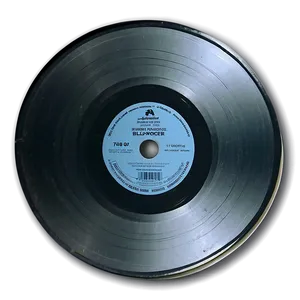 Blank Vinyl Record PNG 05242024 PNG