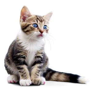 Blissful Kitten PNG 5
