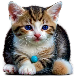 Blissful Kitten PNG 8 PNG