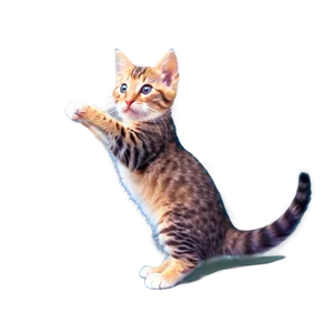 Blissful Kitten Stretch Png 06242024 PNG image