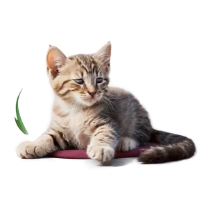Blissful Kitten Stretch PNG 06242024 PNG