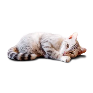 Blissful Kitty Cuddle Png Bsg10 PNG image