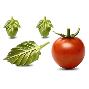 Blistered Tomatoes PNG 06212024