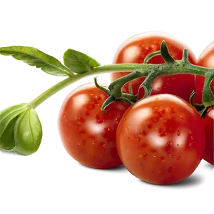 Blistered Tomatoes PNG 12 PNG