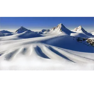 Blizzard White Landscape PNG 06242024