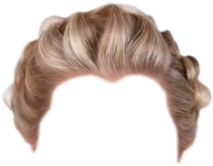 Blonde Braided Updo Hairstyle