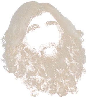 Blonde Curly Beard Illustration PNG image