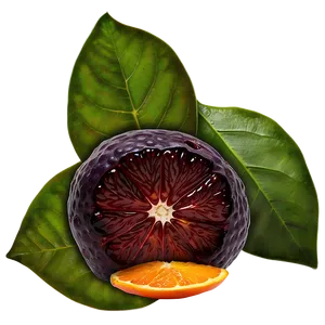 Blood Orange B