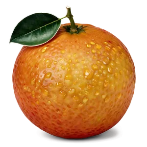 Blood Orange C