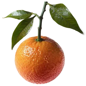 Blood Orange On Branch PNG Tfb9