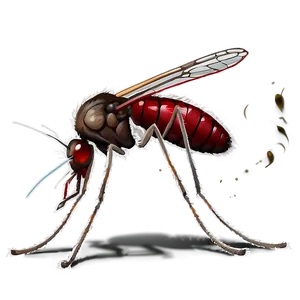 Blood Sucking Mosquito Png 40 PNG image