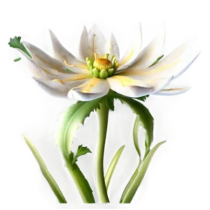 "bloom In Moonlight: Mysterious Flower PNG" A