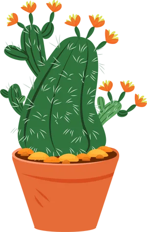 Blooming Cactus Illustration PNG image