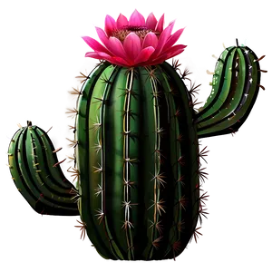 Blooming Cactus PNG 04292024