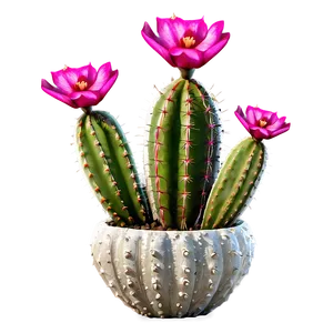 Blooming Cactus PNG 04292024