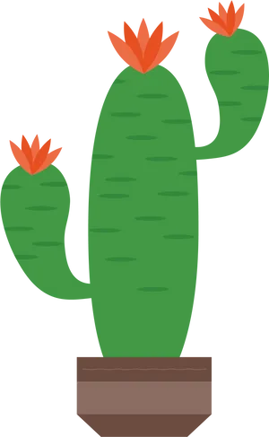 Blooming Cactus Vector Illustration PNG image