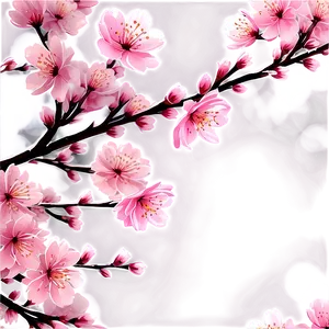 Blooming Cherry Blossom Landscape PNG 37