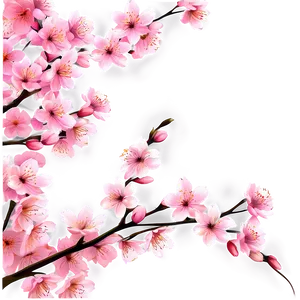 Blooming Cherry Blossom Landscape PNG 96