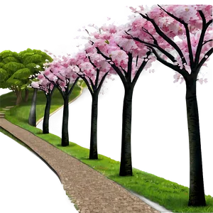 Blooming Cherry Blossom Path PNG 06202024 PNG