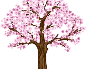 Blooming Cherry Blossom Tree Illustration PNG image