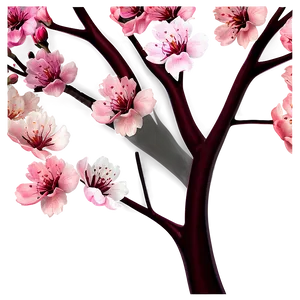 Blooming Cherry Blossoms PNG 05212024