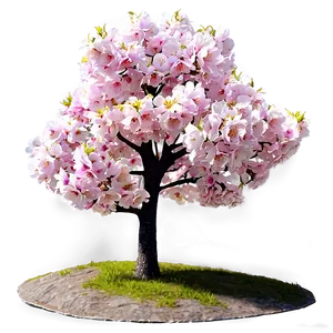 Blooming Cherry Tree PNG Jld38