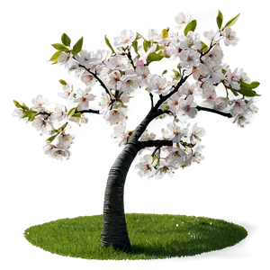 Blooming Cherry Tree PNG Xqc10