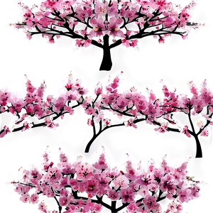 Blooming Cherry Trees Forest PNG 33 PNG