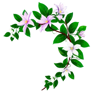 Blooming Clematis Vine.png PNG image
