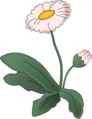Blooming Daisy Vector Illustration PNG image