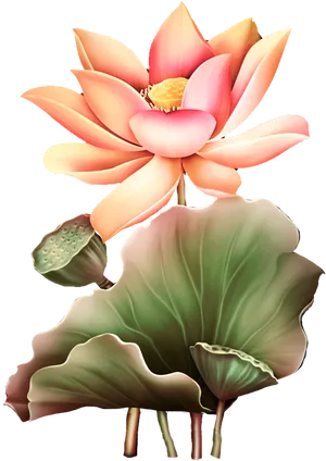 Blooming Lotus Flower Artwork PNG image