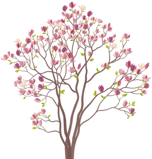 Blooming Magnolia Tree Illustration PNG image