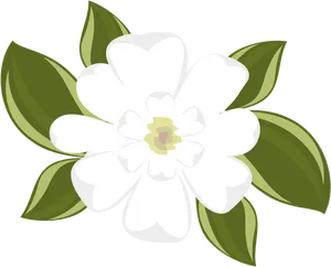 Blooming Magnolia Vector Illustration PNG image