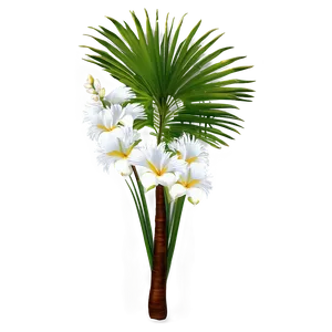 Blooming Palmera Flowers Png 86 PNG image