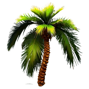 Blooming Palmera Flowers Png Gqd PNG image