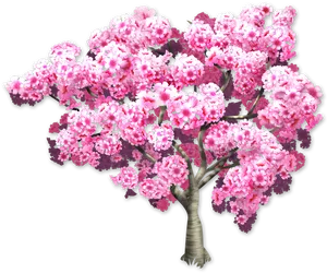 Blooming Pink Cherry Blossom Tree PNG image