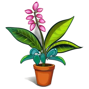 Blooming Plant Clipart PNG 06272024