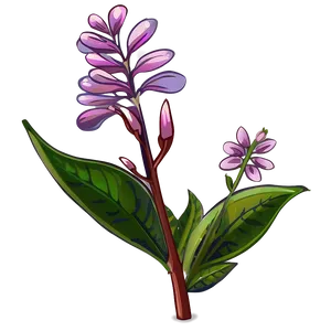 Blooming Plant Clipart PNG Tws