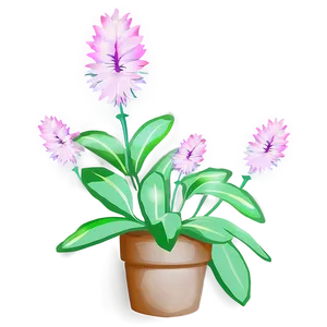 Blooming Plant PNG 05032024