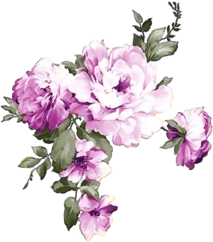 Blooming Purple Peony Flowers PNG image