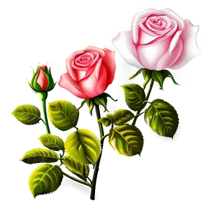 Blooming Rose Clipart Png 06272024 PNG image