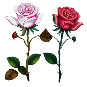 Blooming Rose PNG 04292024